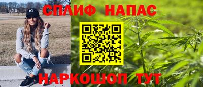 кокс Кингисепп
