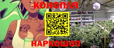 кокс Кингисепп