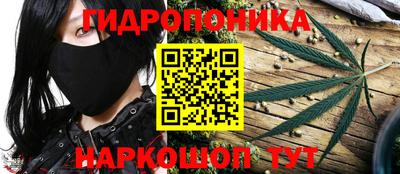 кокс Кингисепп