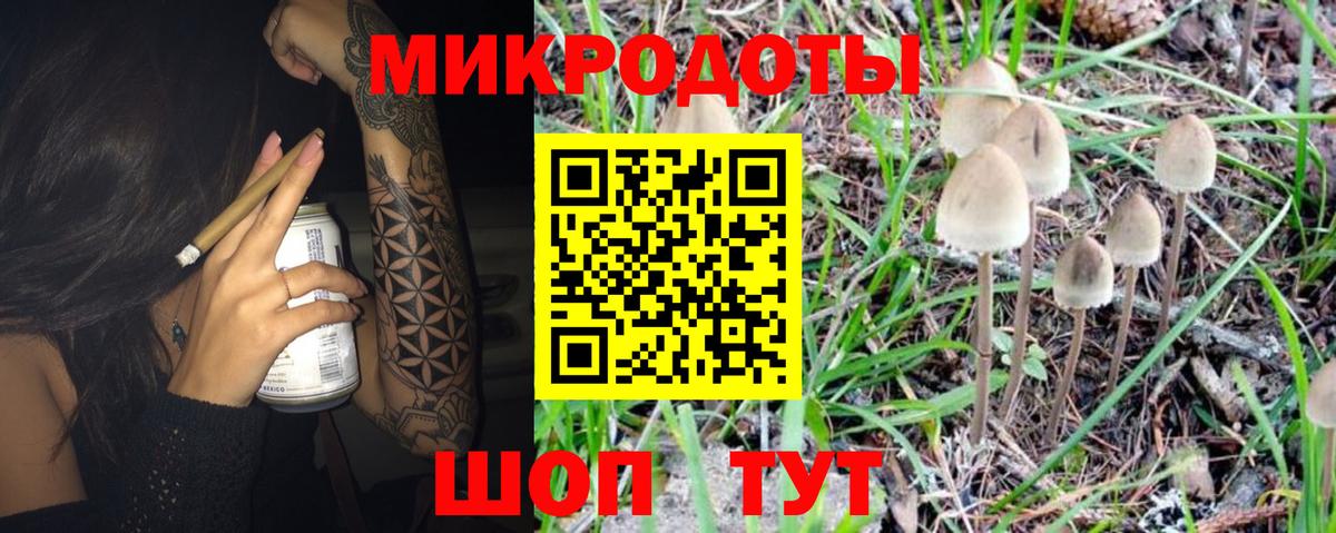 Конаково  Псилоцибиновые грибы ЛСД  Вход с VPN  Псилоцибиновые грибы ЛСД 